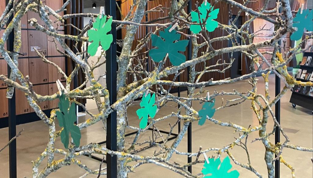 Reflection Tree - Next Library